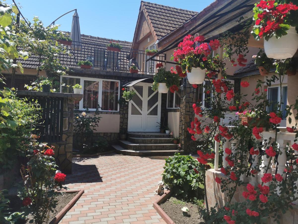 Casa Lidia Hotel Rîu de Mori Eksteriør billede