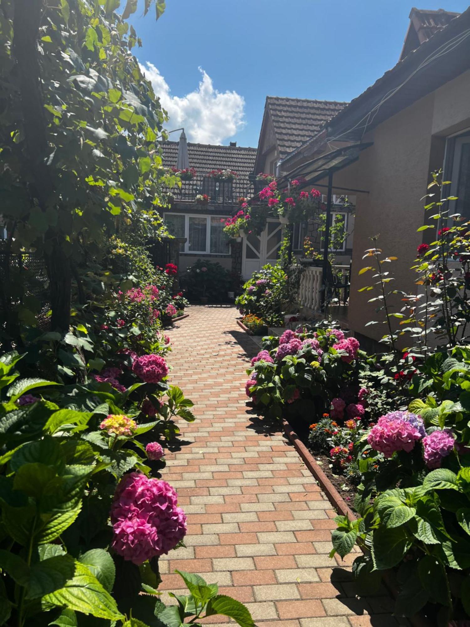 Casa Lidia Hotel Rîu de Mori Eksteriør billede