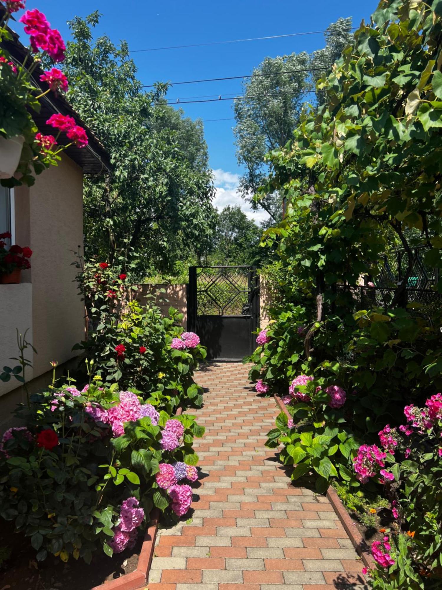 Casa Lidia Hotel Rîu de Mori Eksteriør billede